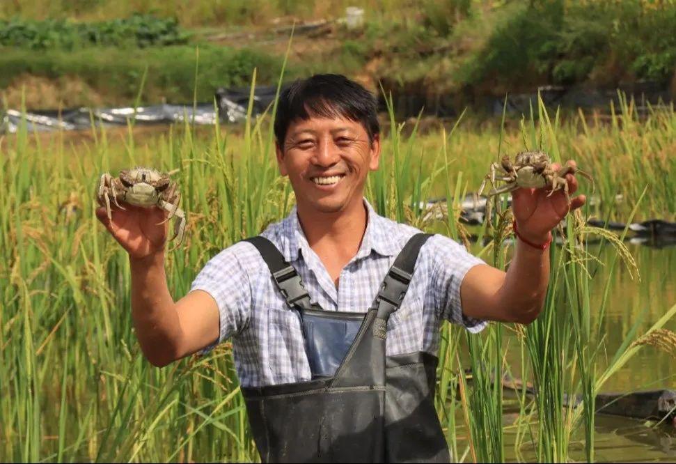 当前位置>首页>市直部门信息公开专栏>临沧市农业农村局>专栏首页>