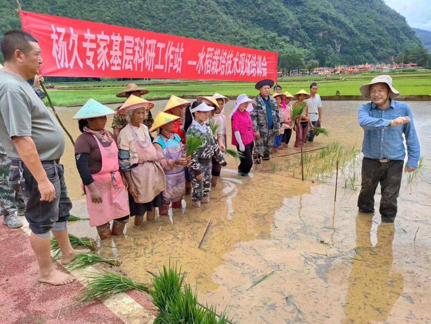 图片1.jpg