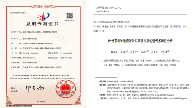 微信图片_20260622110947.png