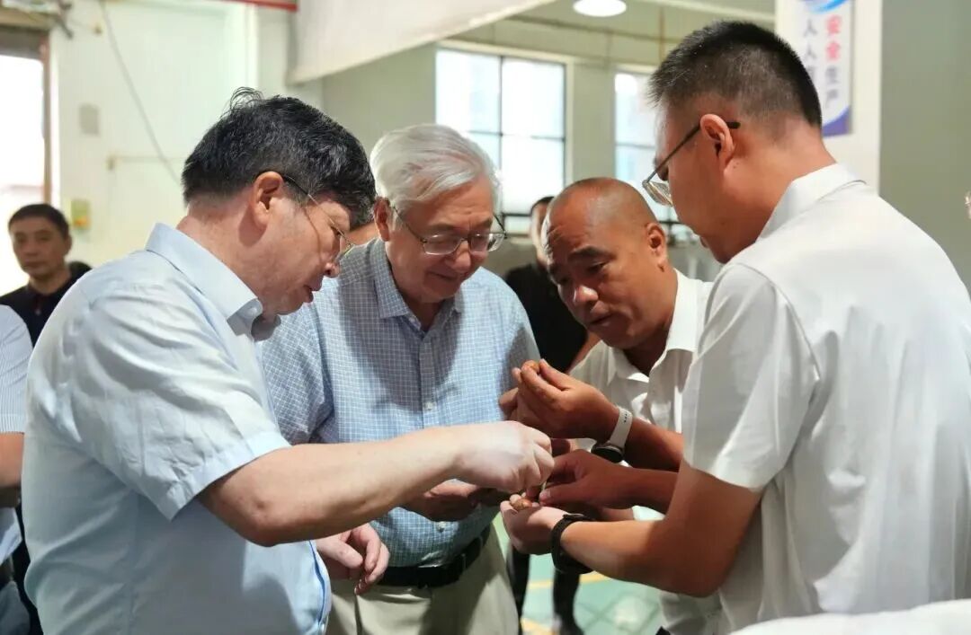 许智宏院士、邓秀新院士查看临沧坚果开口合格率情况.jpg