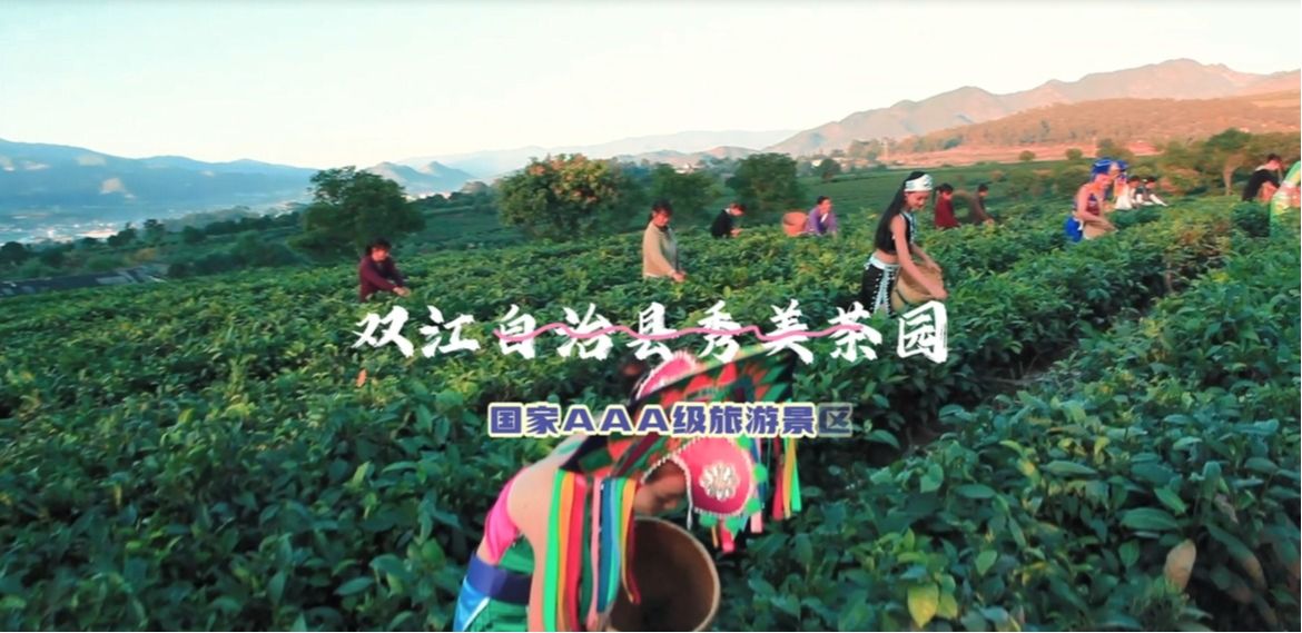 双江自治县秀美茶园