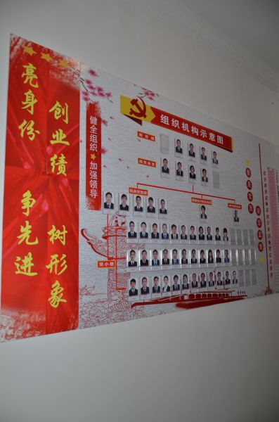 组织设置科学化（组织机构示意图）