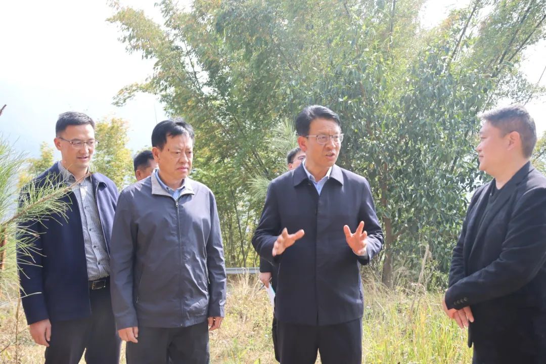 徐贤在临翔调研时强调：从严从实抓好问题整改 推进项目早建成早见效