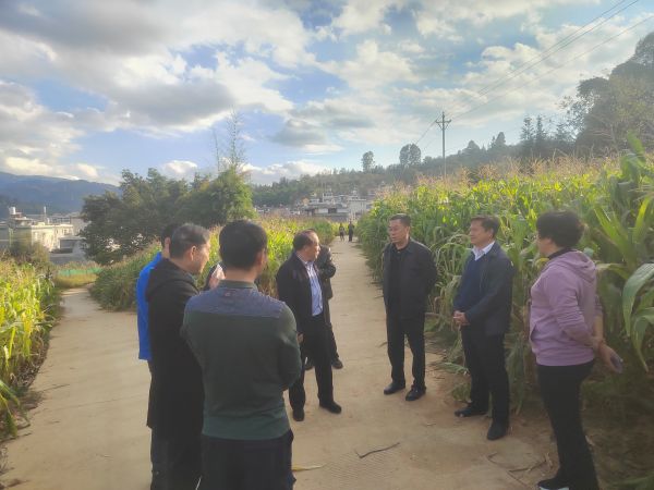 实地查看卫片图斑整改推进情况