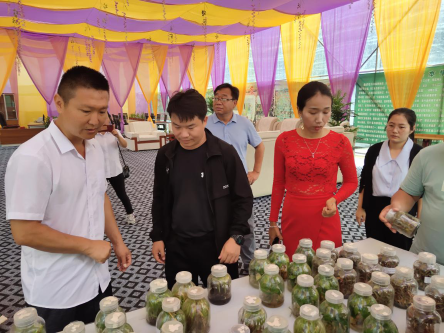 调研永德沃森农业开发有限公司白芨基地及组培种苗产品