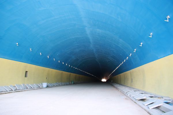 清水河口岸经济区跨南汀河大桥连接芒卡通道（一桥一隧）隧道工程
