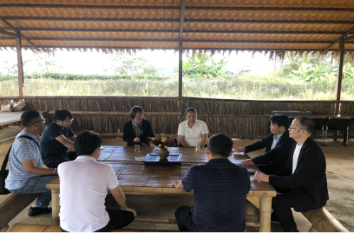 专家在碧丽源（云南）茶业有限公司听取情况汇报