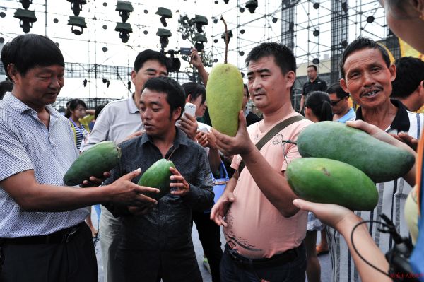 芒果之芒果王评比现场