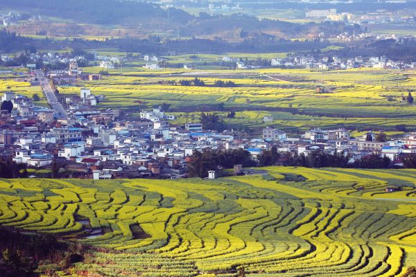 临翔区旅游特色村