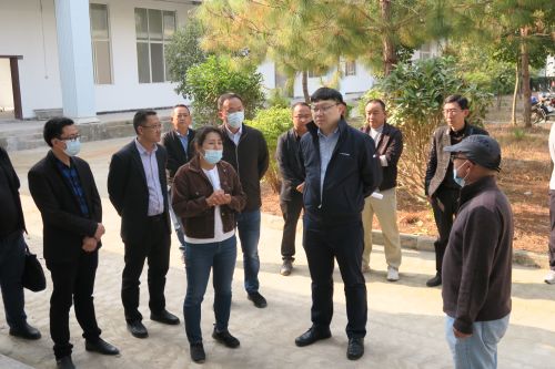在云县幸福镇鹏云牧场调研
