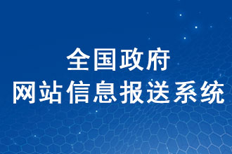 全国政府网站信息报送系统