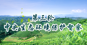 中央环保督查