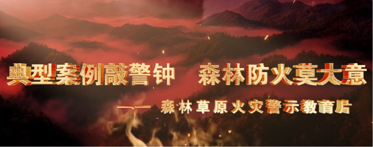森林草原火灾警示教育片