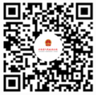 省政府公报小程序