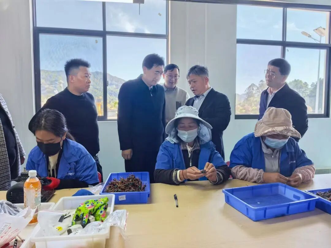 杜建辉在临翔云县宣讲并调研时强调 抓基层强基础固根本 为乡村发展注入持久动能