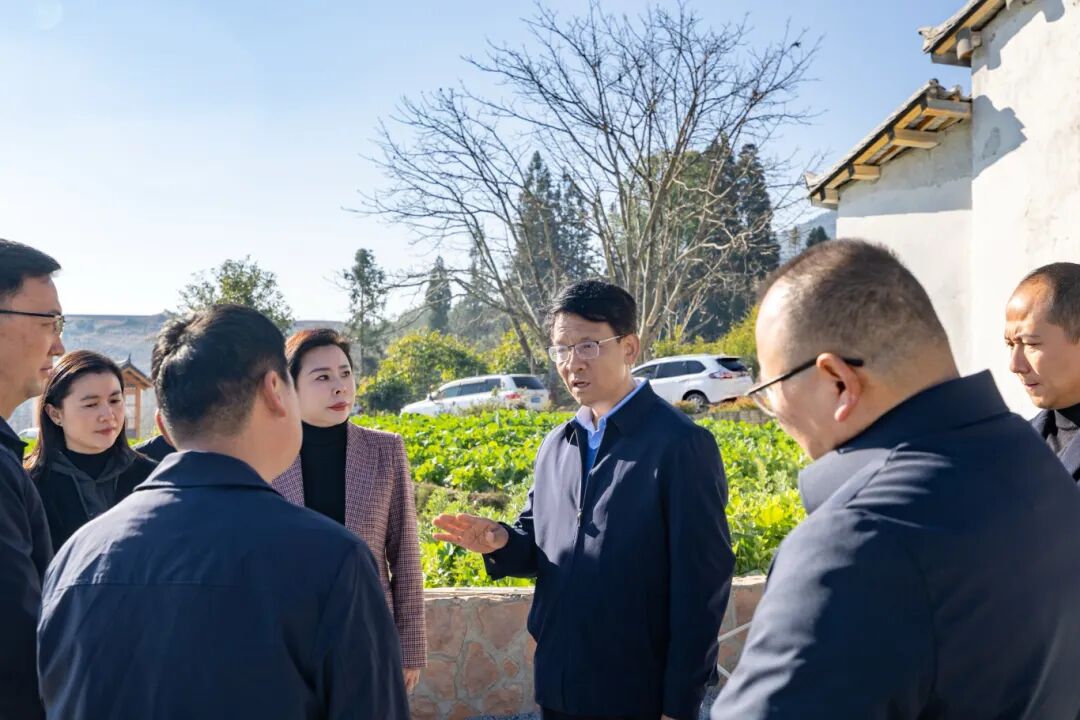 徐贤在临翔区调研时强调 科学发展现代林下经济 盘活资源支持旅居临沧 以文明创建助推高质量发展