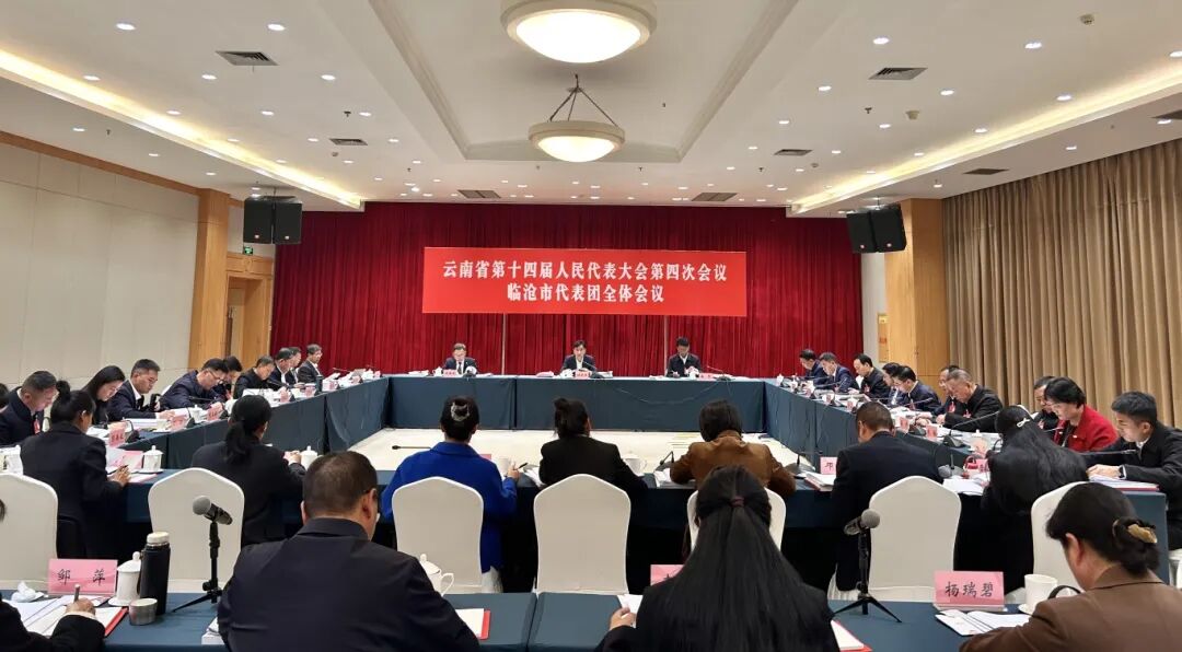 临沧市代表团审议省政府工作报告和审查“十五五”规划纲要草案时提出  以务实作风推动临沧高质量跨越式发展 杜建辉发言