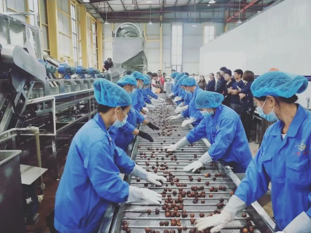 耿马产业园区坚果加工车间.jpg