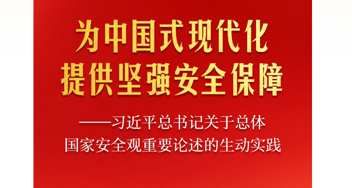 习近平总书记关于总体国家安全观重要论述的生动实践