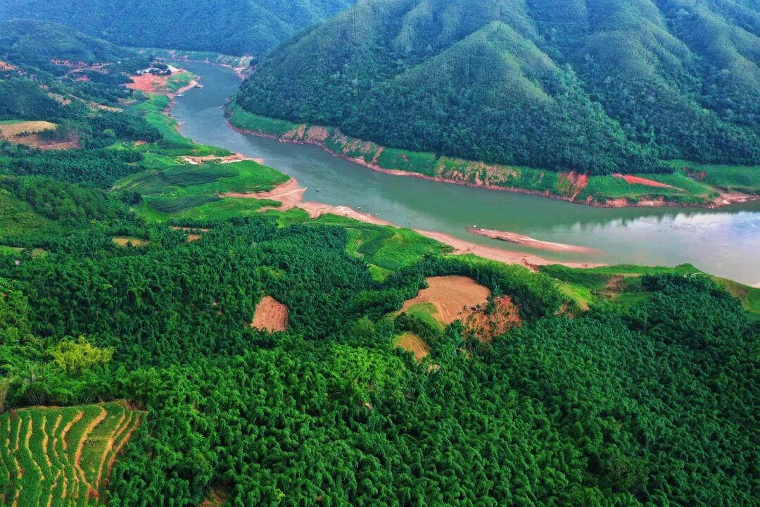 进入夏季,马台乡竹海青翠(2025年7月22日 胡荣宝摄).jpg