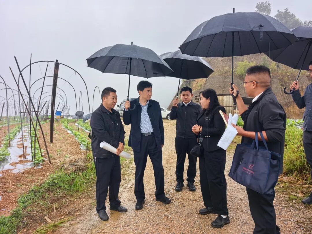 杜建辉在永德县镇康县临沧边合区调研时强调：更好统筹发展和安全 在践行正确政绩观中真抓实干兴边富民