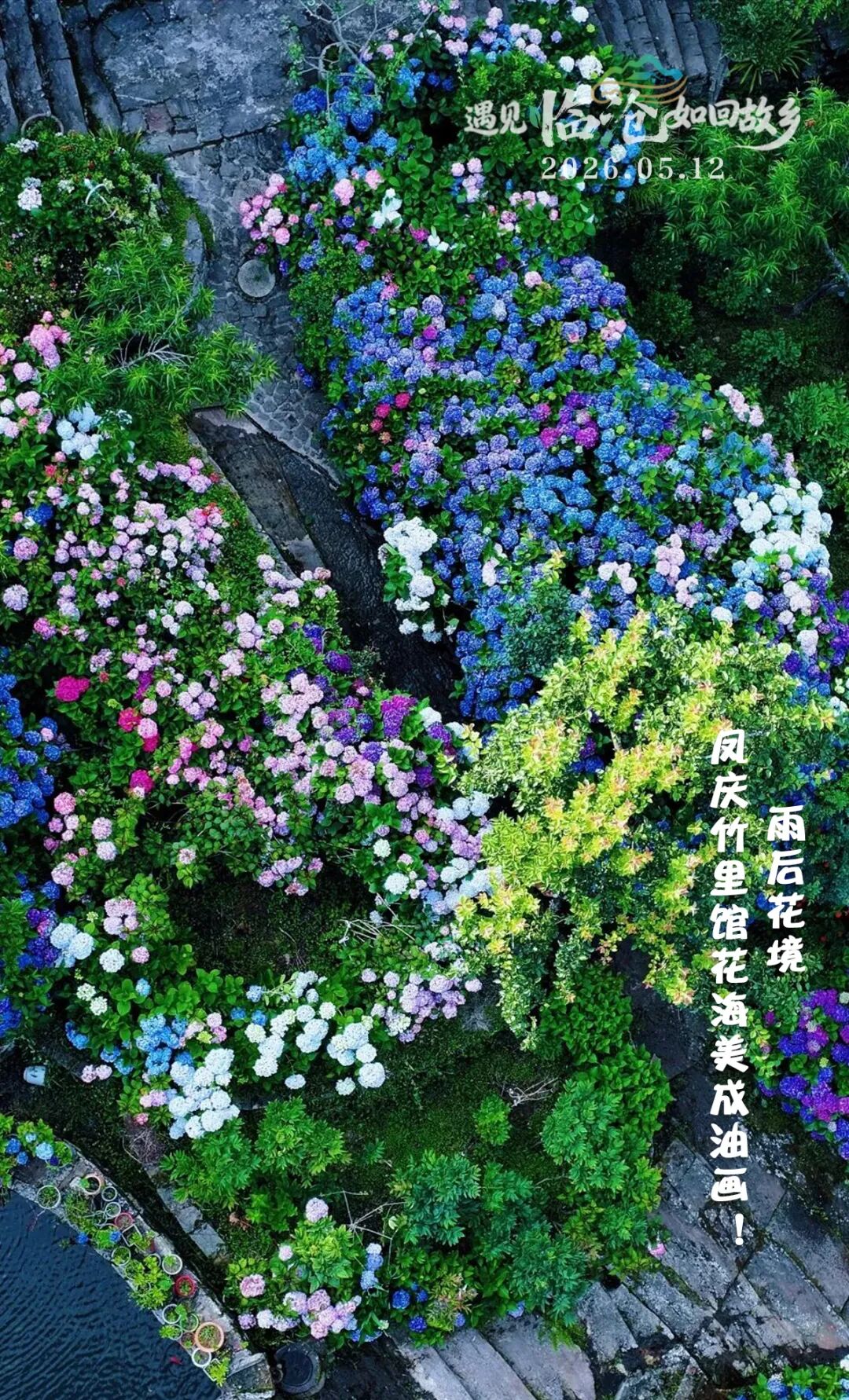 每日一景丨雨后花境，凤庆竹里馆花海美成油画！