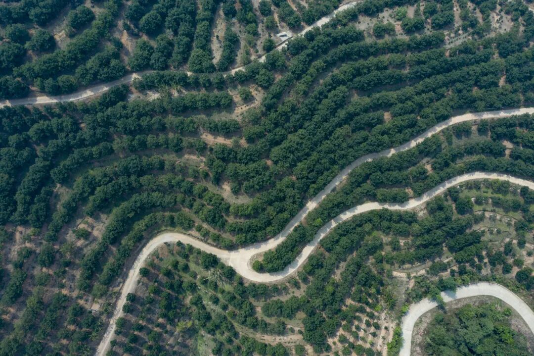 DJI_0581.jpg