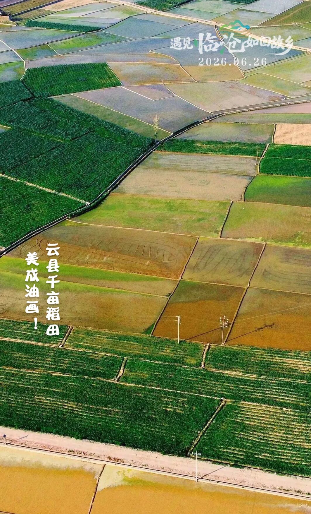 每日一景丨云县千亩稻田，美成油画！