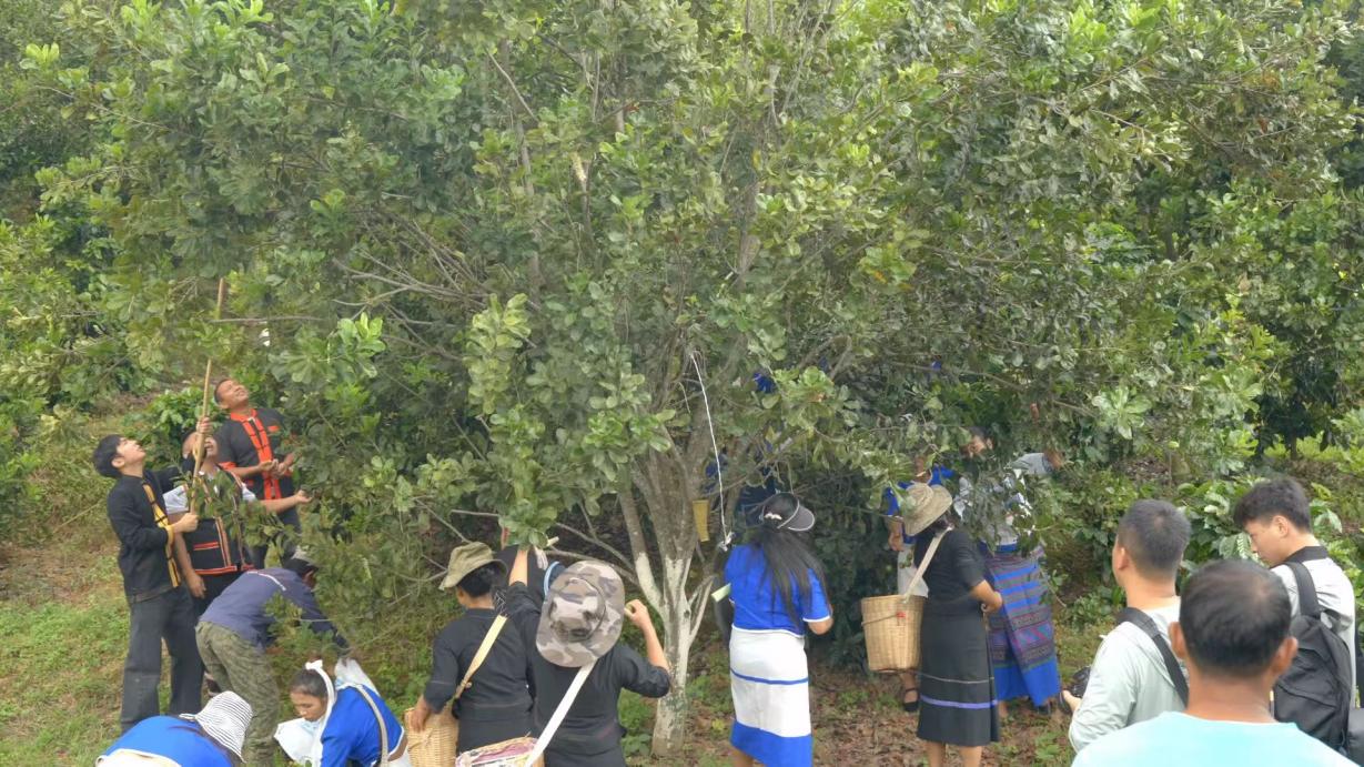 1770690717361082291.jpg 1770690714521051780.jpg